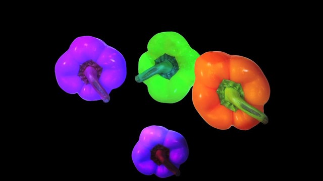 Exportion - Fake Food