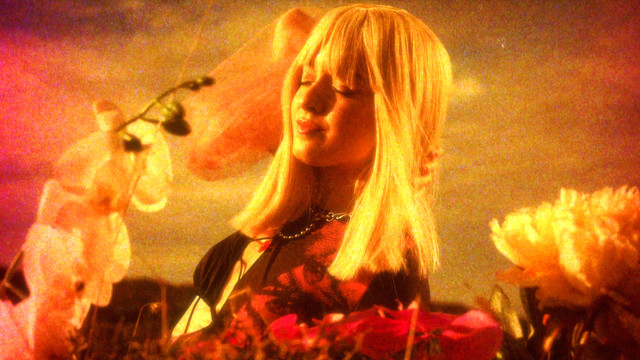 Melis Fis - Gülü Sevdim Dikeni Battı