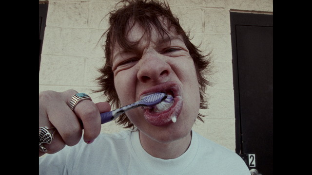 Anella - 650 Destinations