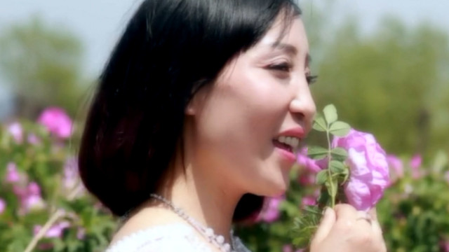 张静 - 春曲悠悠