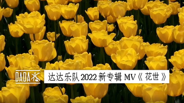 达达乐队 - 花世