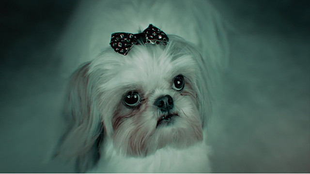 Peking Duk - Stranger