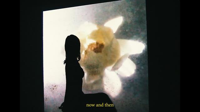 Emma Jensen - Now And Then (Lyric Video)