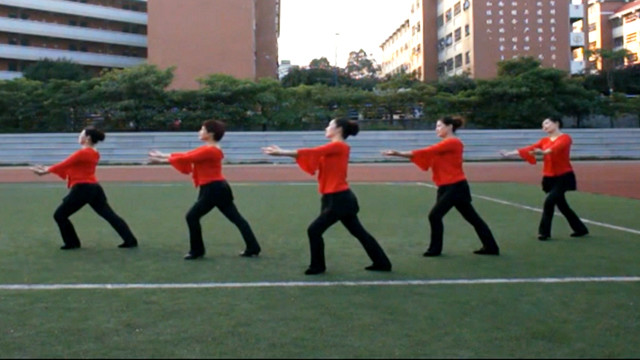 李天平 - 度相思 (广场舞版)