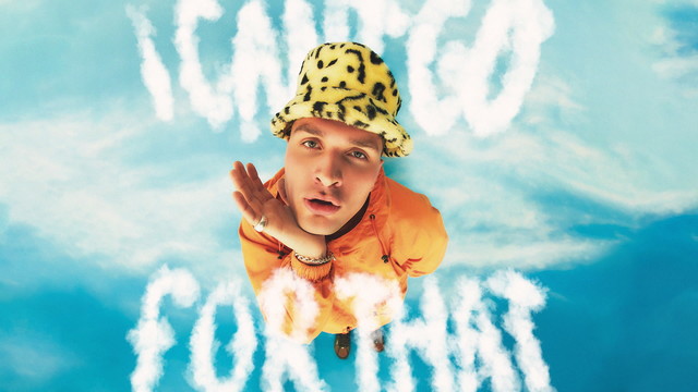 Dandlion - I Can't Go for That(No Can Do) (Audio)