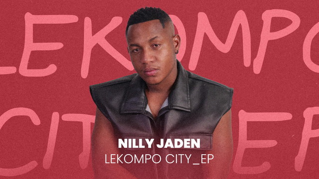 Nilly Jaden - I wanna love you (Visualizer)