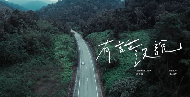 李佳欢 -  有话没说