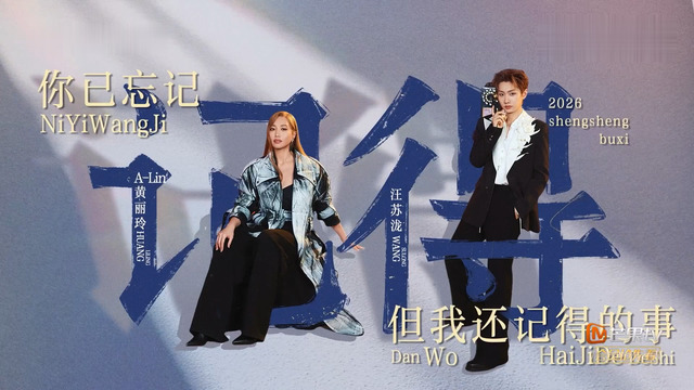 A-Lin - 你已忘记但我还记得的事 (声生不息·华流季 第8期现场)