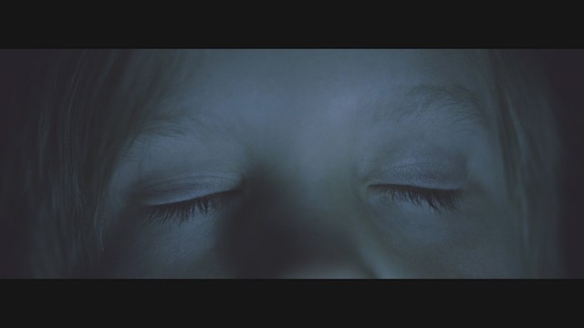 Mountain Bird - The Visitor