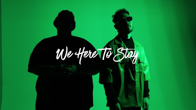 TiMO ODV - We Here To Stay (Visualizer)