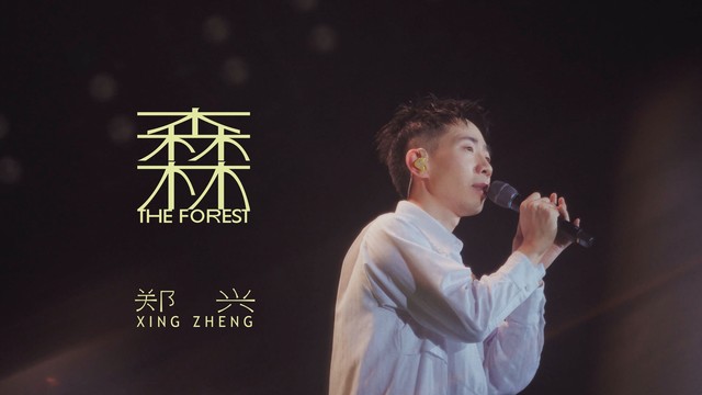 郑兴 - 森林