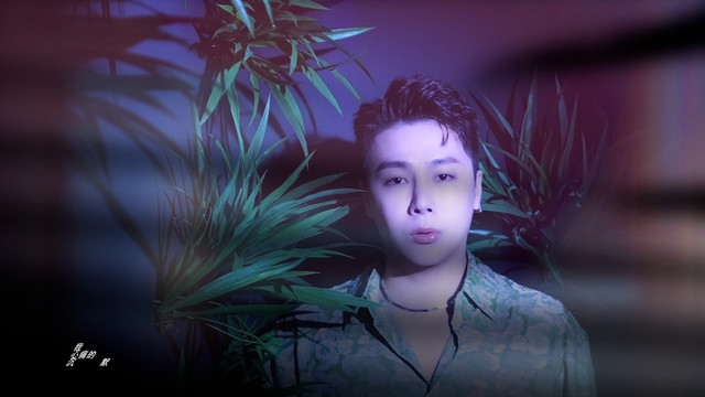 宋孟君 - 失眠的夜