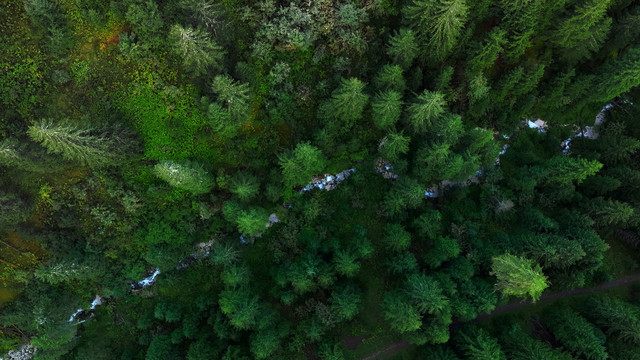 Val Gardena - Pre De Vi N°4 (River)