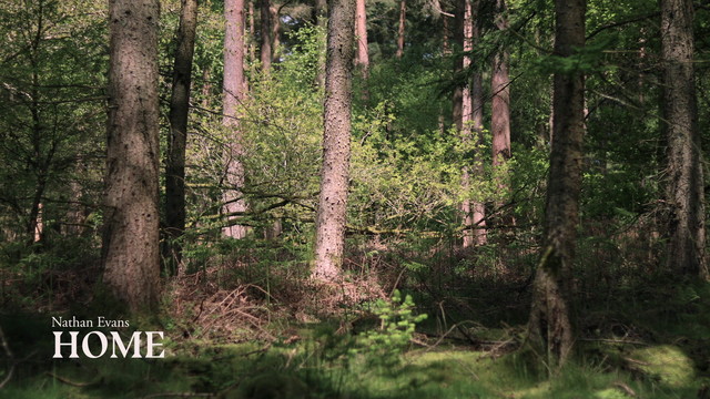 Nathan Evans - Home (Lyric Video)