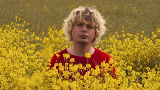 Johnny Jane - Une fleur (Visualizer)