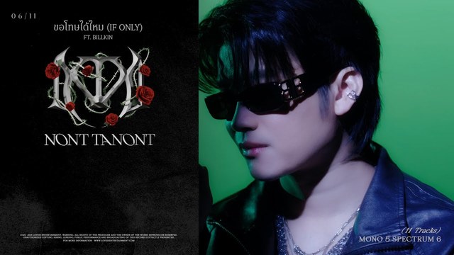 Nont Tanont - ขอโทษได้ไหม (If Only) (Lyrics Video)