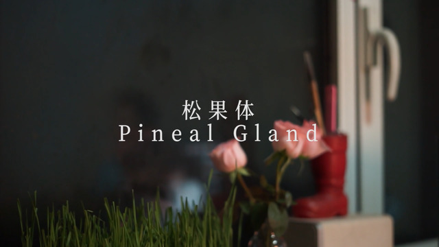 暴力香槟 - 松果体