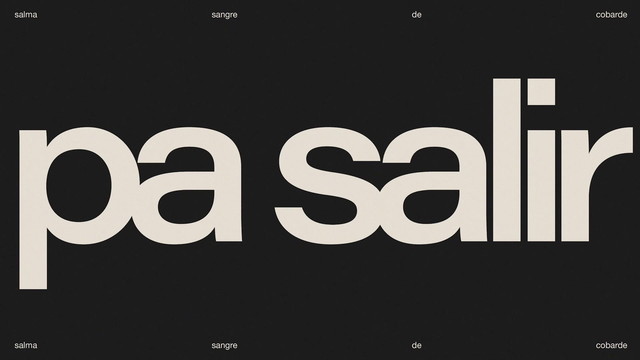 SALMA - PA SALIR - outro (Visualizer)