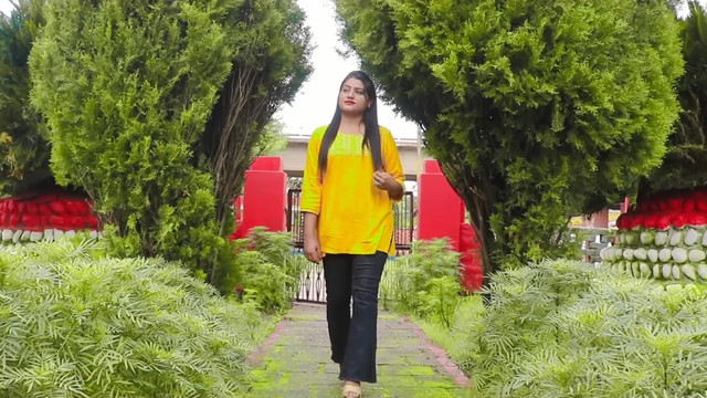 Sunil Kumar Pahari - Din Beete Chaar