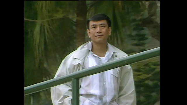 罗文 - 几许风雨