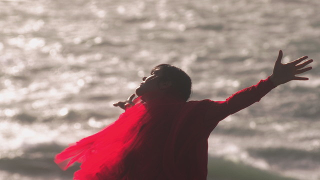 Bat For Lashes - Delphi Dancing (Visualiser)