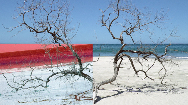 Jose Solano - Firefly