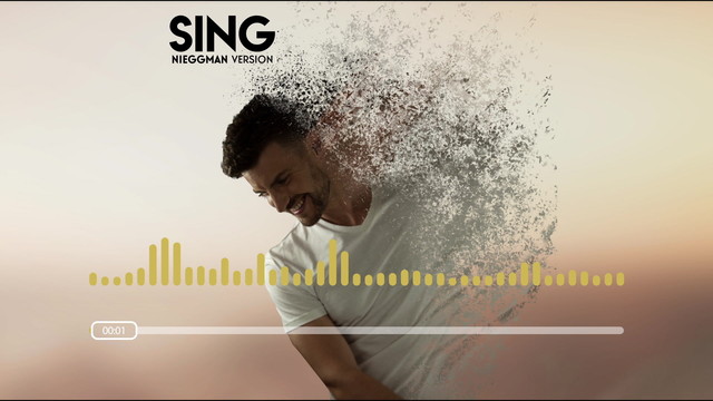 Nieggman - Sing (音频版)