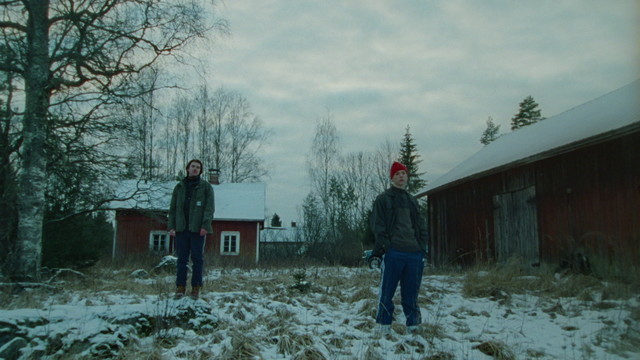 Teddy Failure - Pure