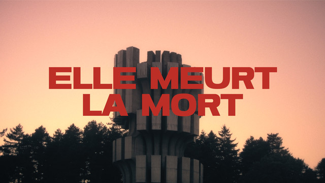 Nikola - Elle meurt la mort (Visualizer)