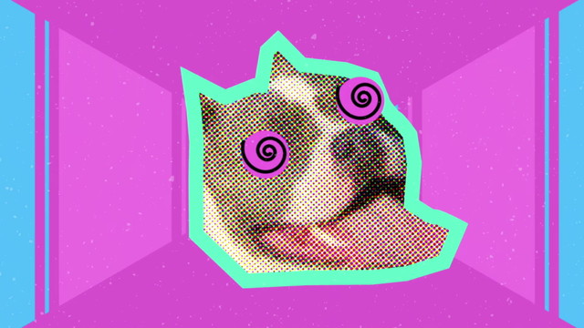 Mamonas Assassinas - Mundo Animal (Remix / Lyric Video)