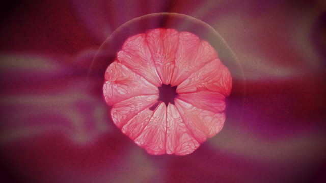 Felix Jaehn - Dream Come True (Visualizer)