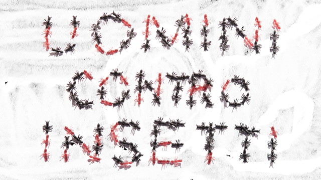 Giorgio Poi - uomini contro insetti (Official Video)