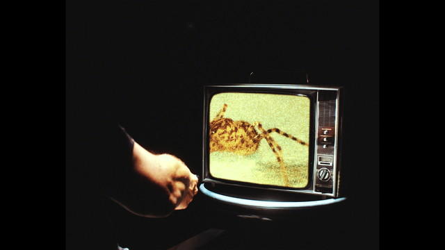 Max Mutzke - California Spider