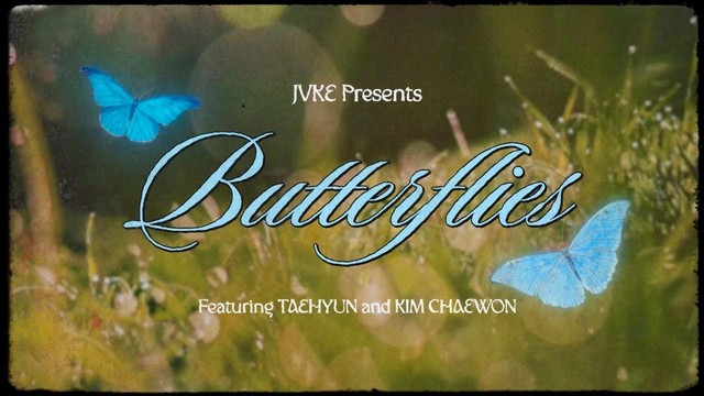 JVKE - butterflies (official lyric video) (歌词版)