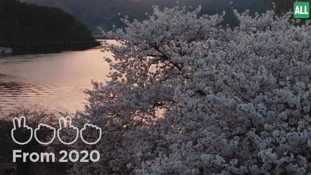 From 2020 - 벚꽃이 제일 싫어 (Feat. 920)