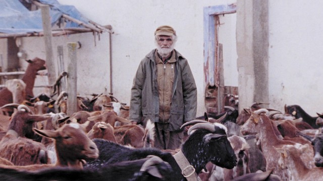 Antonio Zambujo - Catavento Da Sé