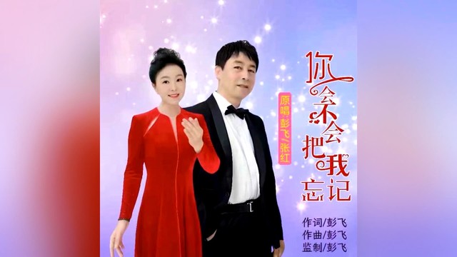 彭飞 - 你会不会把我忘记 (KTV版)