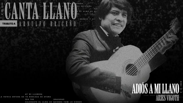 Aries Vigoth - Adiós A Mi Llano