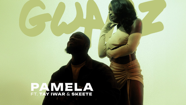 Gwamz - PAMELA (Visualiser)