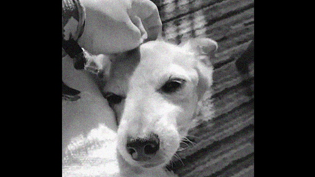 Marta Movidas - Rosquilla de canela (Visualizer)