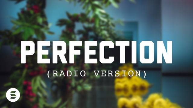 Switch - perfection ((Radio Edit) [Official Lyric Video])