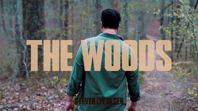 Steven Lee Olsen - The Woods (Audio)