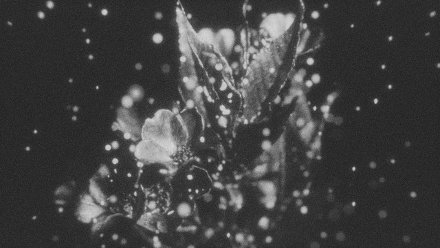 Balmorhea - New Conditions