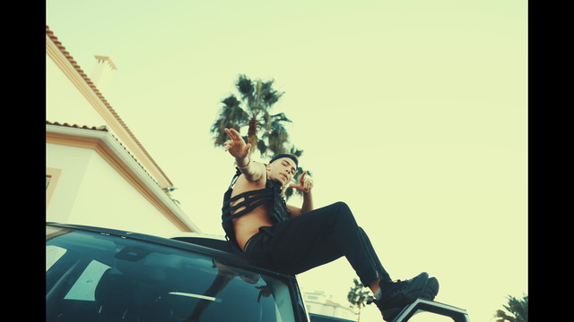 WaZe - Colete Anti-Bala