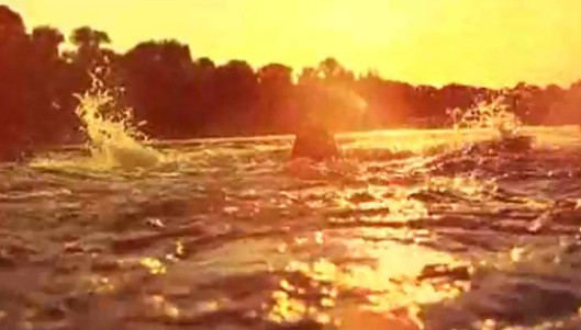 Ellen Allien - Sun The Rain