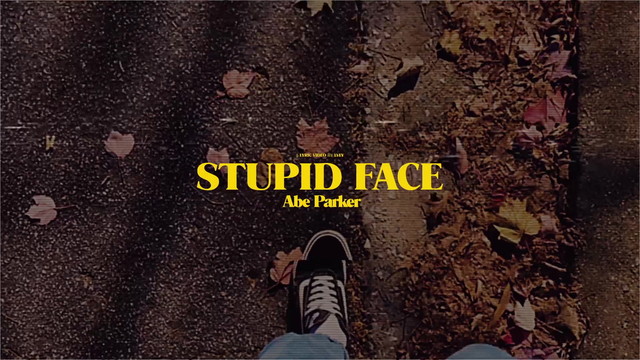 Abe Parker - Stupid Face (歌词版)