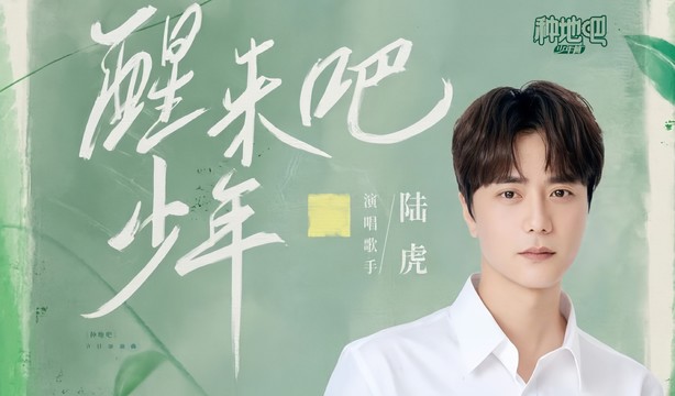 陆虎 - 醒来吧少年