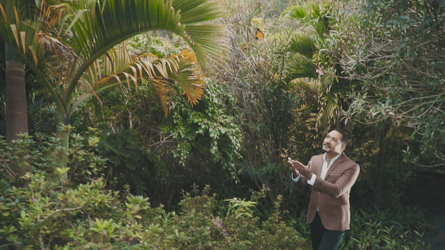 Frank Reyes - Como Hojas al Viento