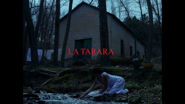 Toni Anzis - LA TARARA