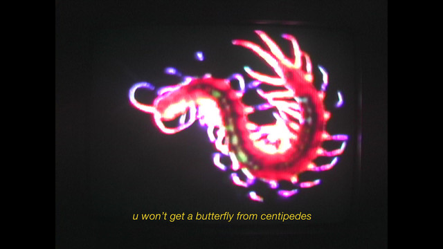 Amindi - CENTIPEDE (Lyric Video)